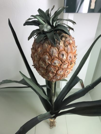 ananas