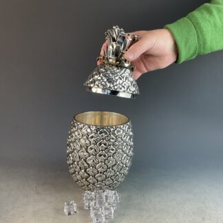 eiswuerfelkuehler_ananas