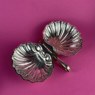 muschelschale_england