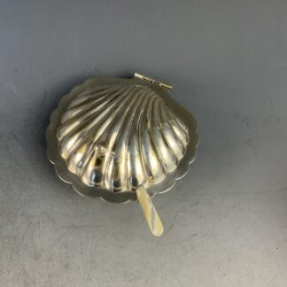 butterschale_muschel_england