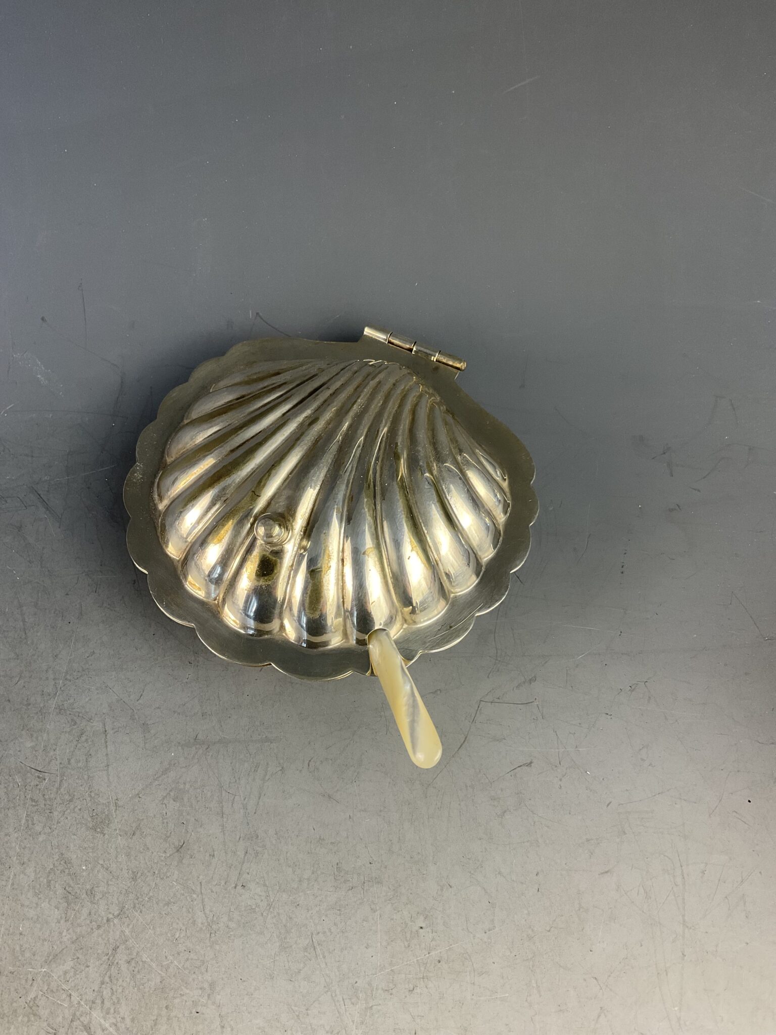 butterschale_muschel_england