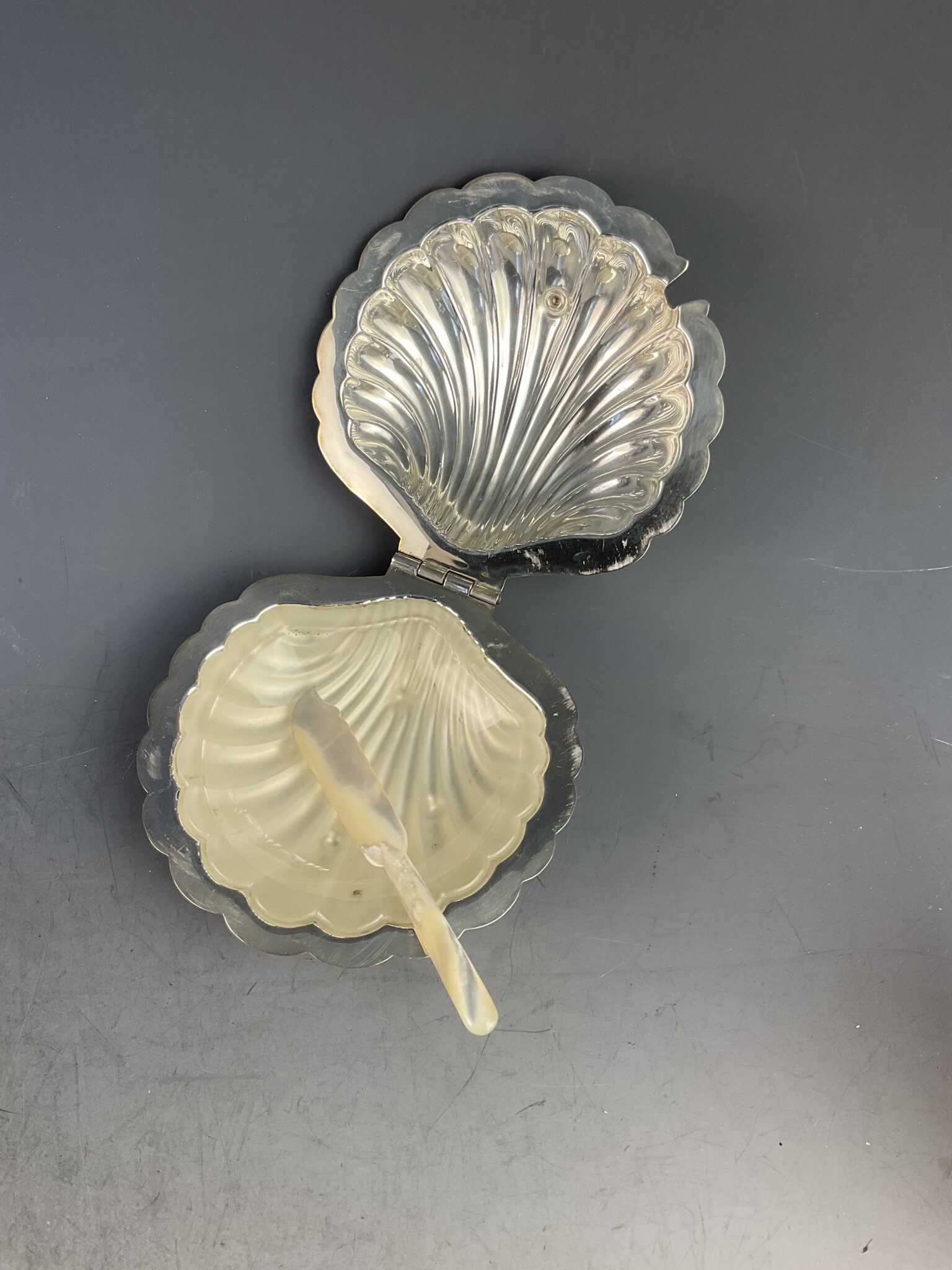 butterschale_muschel_england