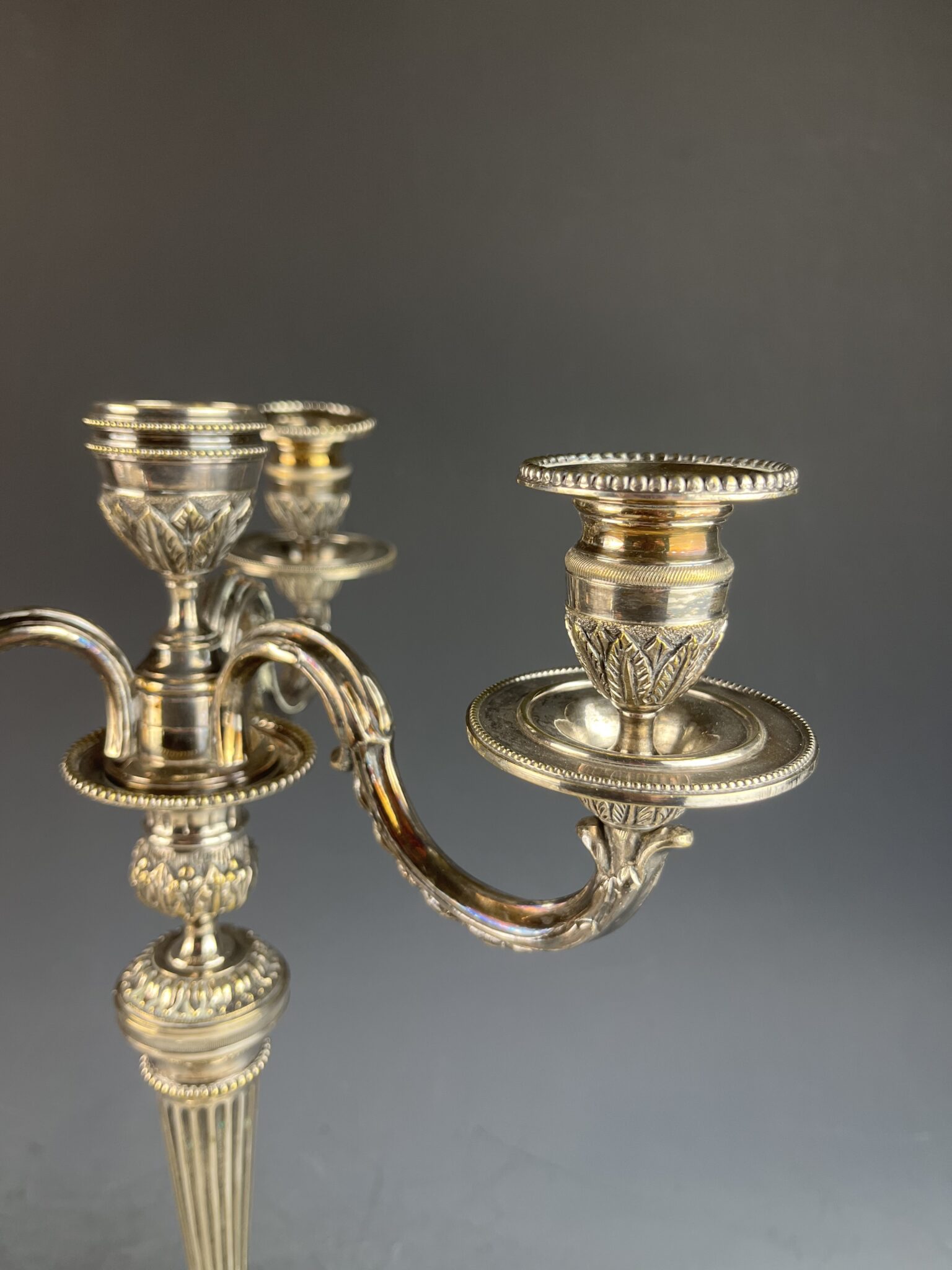 girandole_frankreich