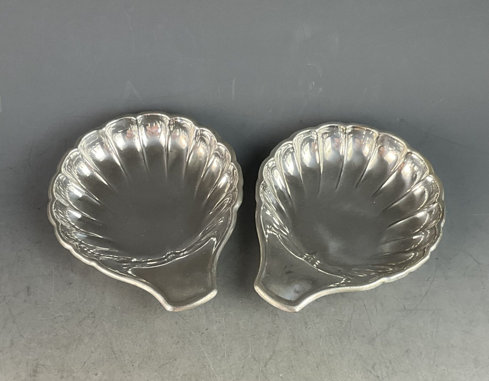 muschelschalen_sandrik