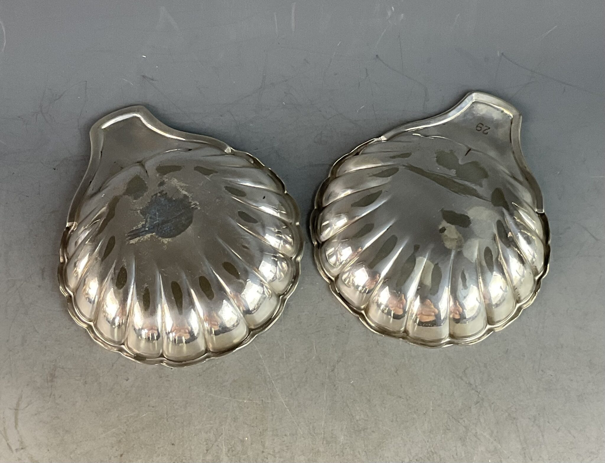 muschelschalen_sandrik
